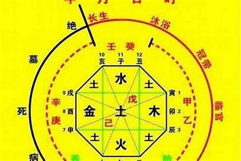 怎麼查自己的五行|生辰八字算命、五行喜用神查詢（免費測算）